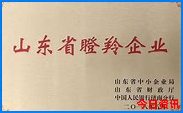 重庆市区旅游必去十大景点推荐
